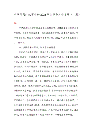 市审计局财政审计科2022年上半年工作总结（二篇）.docx