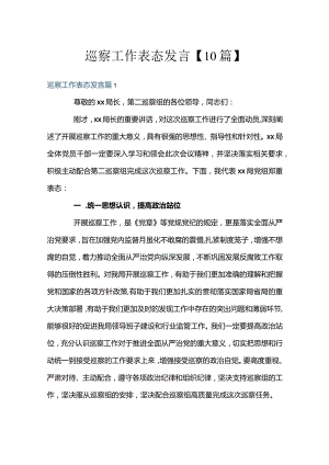 巡察工作表态发言【10篇】.docx
