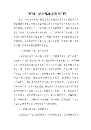市税务系统“四强”党支部建设情况总结汇报.docx