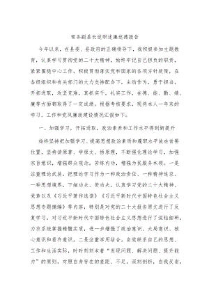 常务副县长述职述廉述德报告.docx