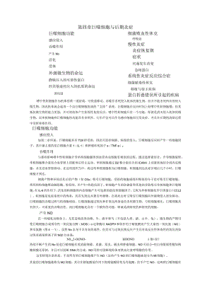 巨噬细胞与后期炎症.docx