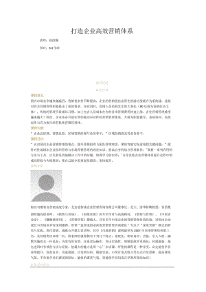 打造企业高效营销体系.docx