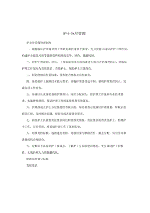 护士分层管理.docx
