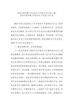 县统计局党建工作总结及下年度工作计划(二篇).docx