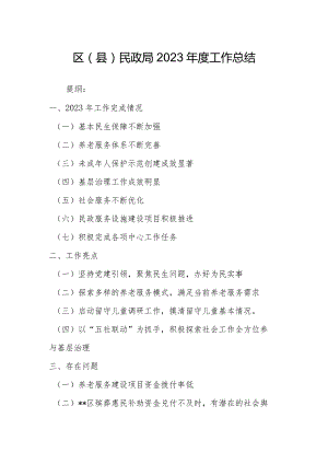 区（县）民政局2023年度工作总结.docx