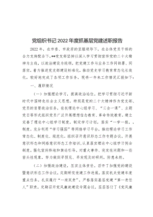 党组织书记2022年度抓基层党建述职报告.docx
