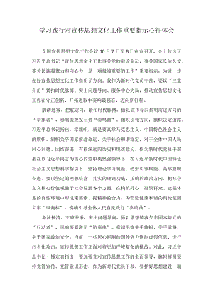 学习践行对宣传思想文化工作重要指示心得体会（3篇）.docx