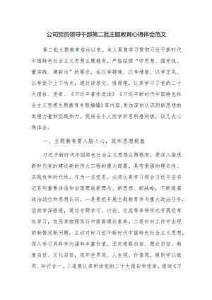 公司党员领导干部第二批主题教育心得体会范文.docx