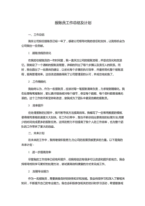 报账员工作总结及计划.docx