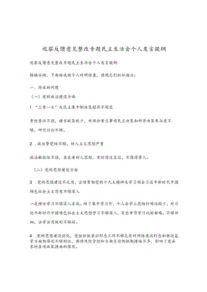 巡察反馈意见整改专题民主生活会个人发言提纲.docx