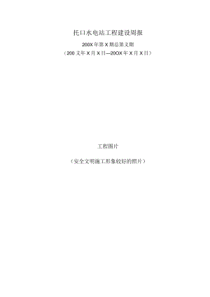 托口水电站工程建设周报.docx