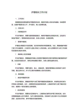 护理组长工作计划.docx