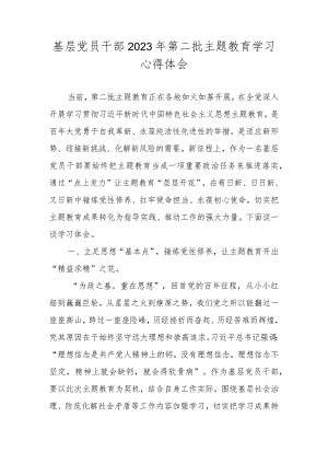 基层党员干部2023年第二批主题教育学习心得体会.docx