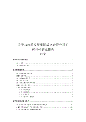关于与旅游发展集团成立合资公司的可行性研究报告.docx