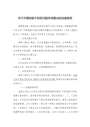 关于大股东控股不控权的自查报告.docx