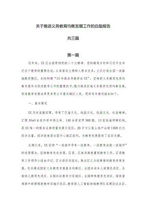 关于推进义务教育均衡发展工作的自查报告共三篇.docx