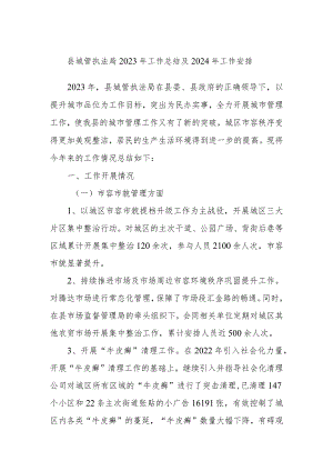 县城管执法局2023年工作总结及2024年工作安排.docx
