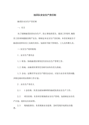 抽采队安全生产责任制.docx
