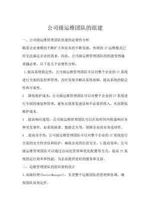 公司级运维团队的组建.docx