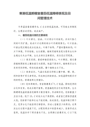 寒潮低温期棚室番茄低温障碍表现及田间管理技术.docx