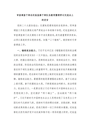 审查调查干部在纪检监察干部队伍教育整顿研讨交流会上的发言.docx