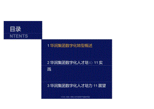 华润数字化人才培养的策略与实践.docx
