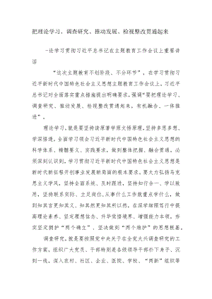 把理论学习调查研究推动发展检视整改贯通起来.docx