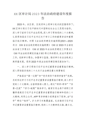 区审计局2023年法治政府建设年度报告.docx