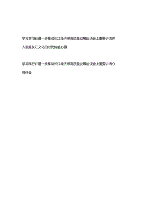 学习践行在进一步推动长江经济带高质量发展座谈会上重要讲话心得体会2篇.docx