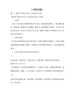 年度企业文化活动主题策划.docx
