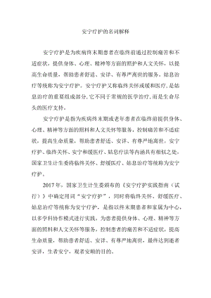 安宁疗护的名词解释.docx