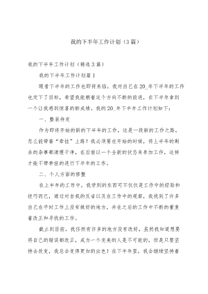 我的下半年工作计划（3篇）.docx