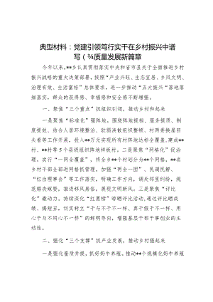 典型材料：党建引领笃行实干在乡村振兴中谱写高质量发展新篇章.docx