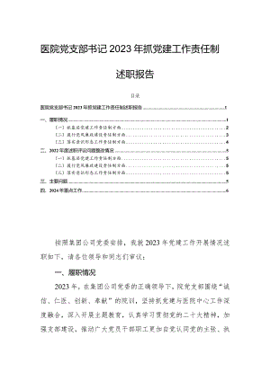 医院党支部书记2023年抓党建工作责任制述职报告.docx