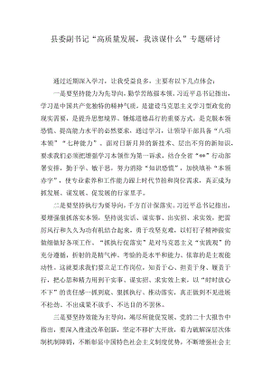 县委副书记“高质量发展我该谋什么”专题研讨发言(3篇).docx