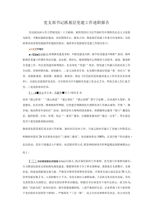 党支部书记抓基层党建工作述职报告.docx