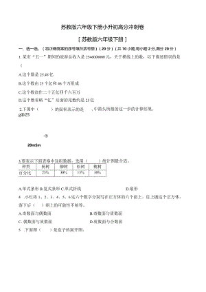小升初高分冲刺卷（苏教版）.docx
