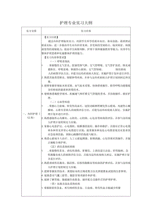护理专业实习大纲.docx