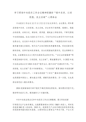 学习贯彻中央经济工作会议精神把握好“稳中求进、以进促稳、先立后破”心得体会.docx