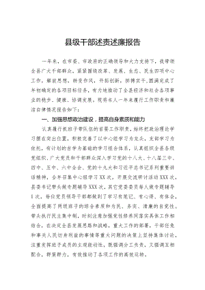 县级干部述责述廉报告.docx