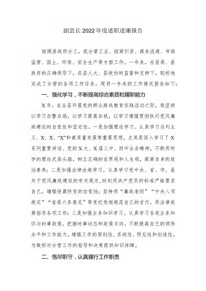 副县长2022年度述职述廉报告.docx