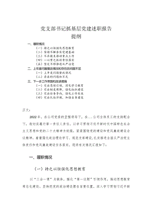 党支部书记抓基层党建述职报告.docx