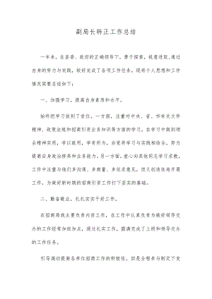 副局长转正工作总结.docx