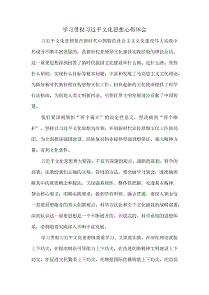 学习贯彻文化思想心得体会.docx