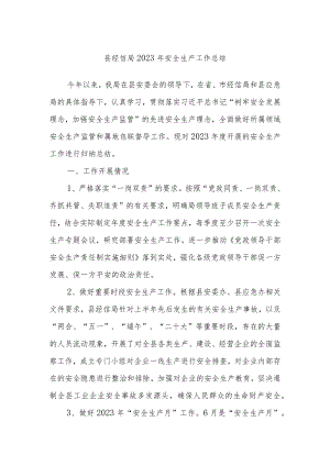 县经信局2023年安全生产工作总结.docx
