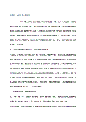 律师年度个人2023执业情况总结.docx