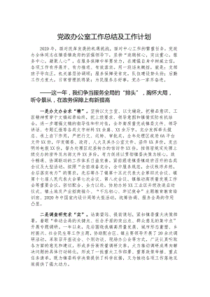 党政办公室工作总结及工作计划.docx