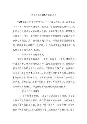 市供销社2023年工作总结.docx
