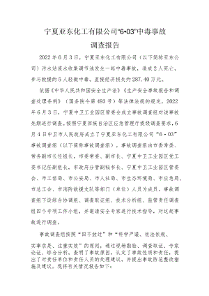 宁夏亚东化工有限公司“6·03”中毒事故调查报告.docx
