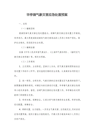 华亭镇党的建设工作要点.docx